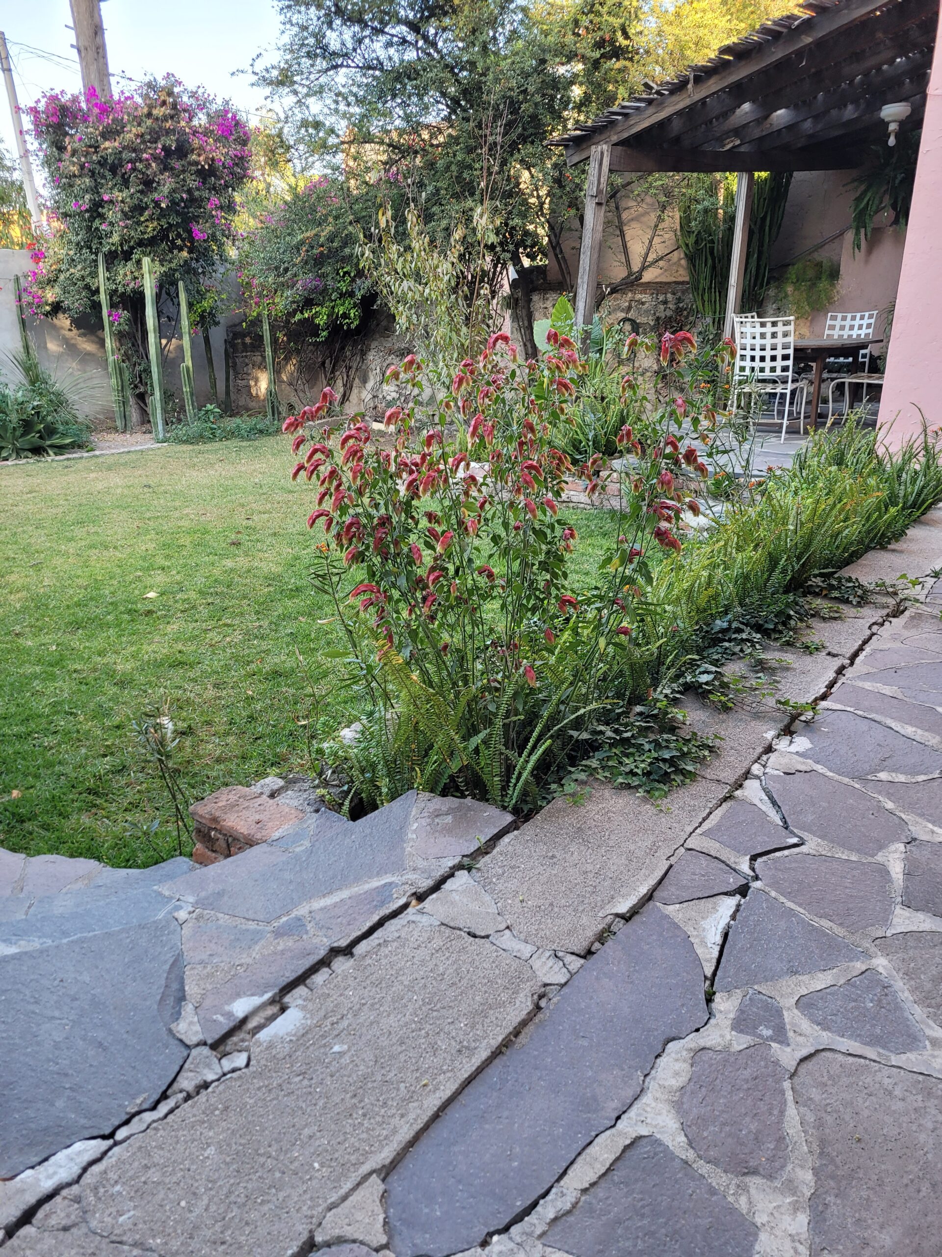 back yard at our initial abode