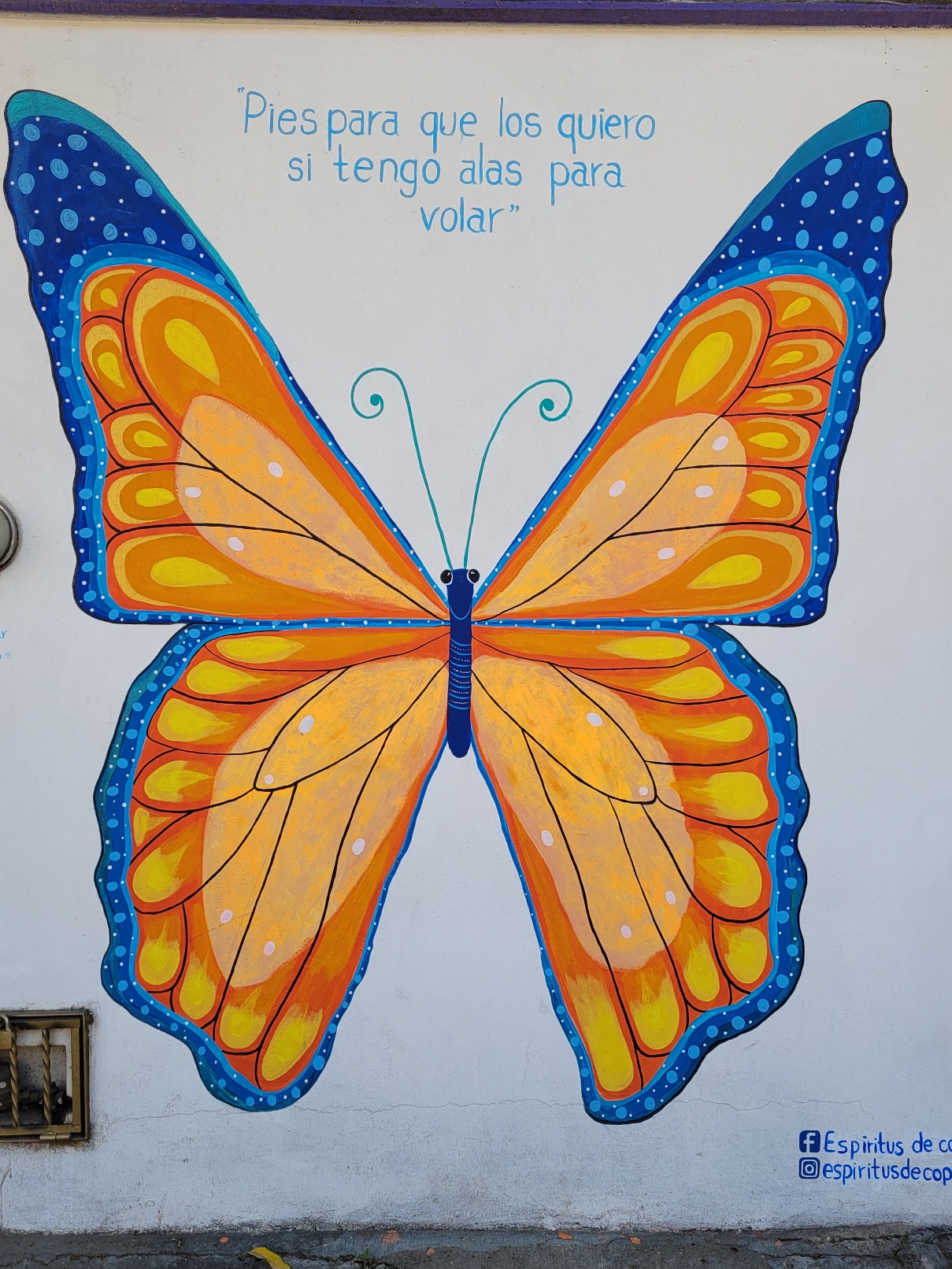 Feet why do I need them if I have wings to fly